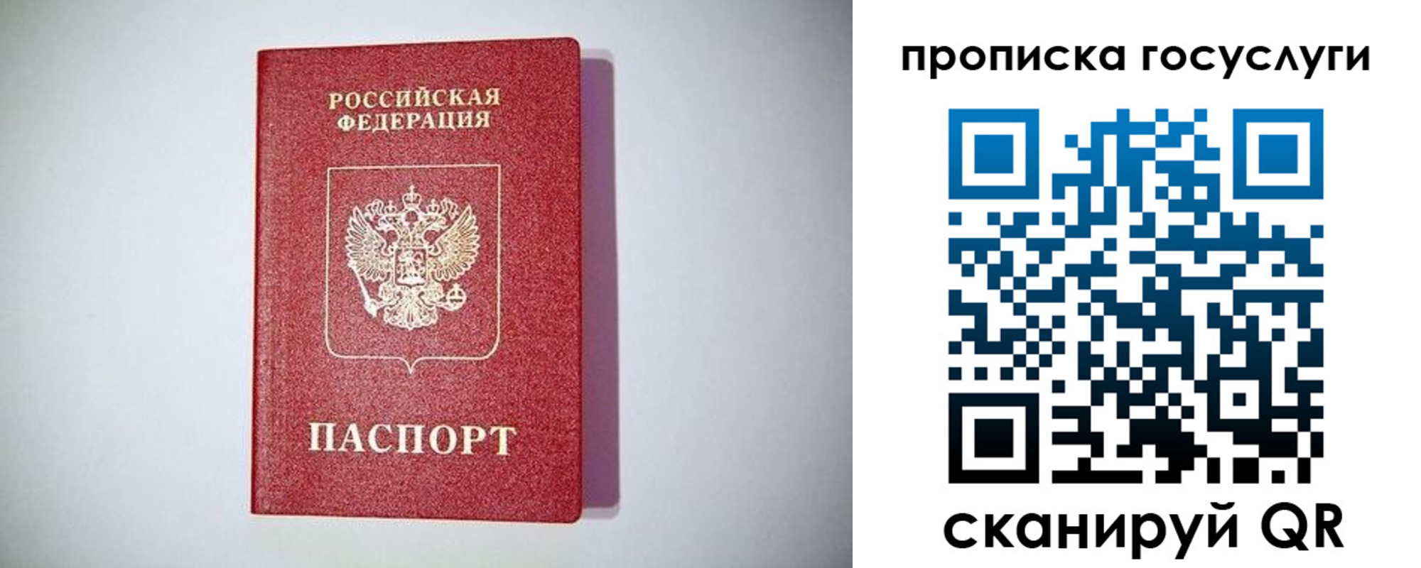 временная регистрация госуслуги в Тосно